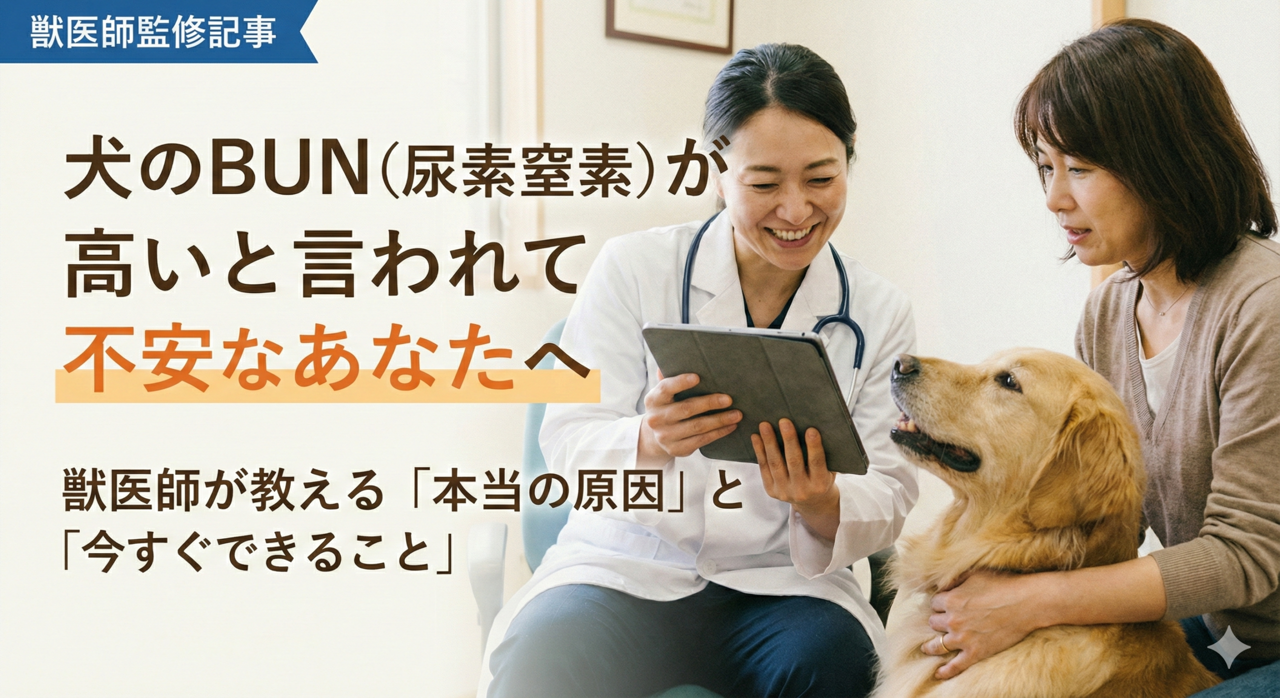 犬のBUN(尿素窒素)が高いと言われて不安なあなたへ──獣医師が教える「本当の原因」と今すぐできること