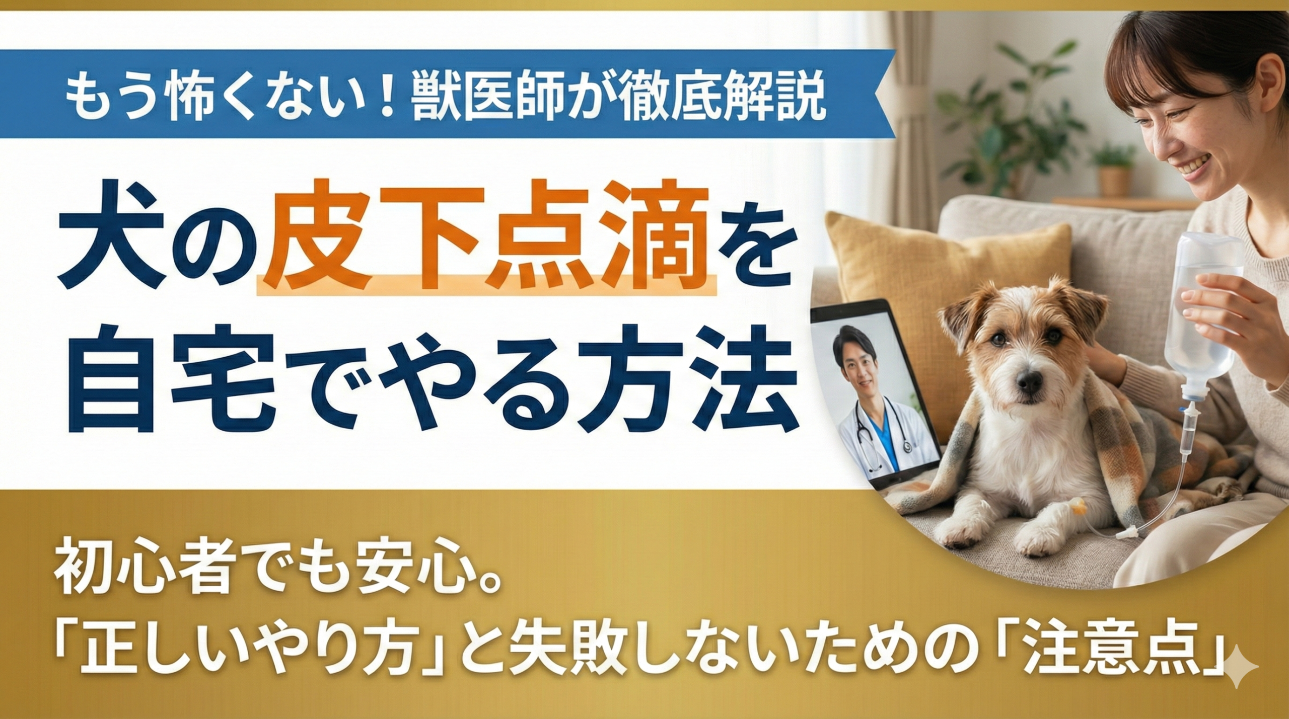 【獣医師解説】犬の皮下点滴を自宅で成功させるコツ｜やり方・費用・痛くない刺し方について