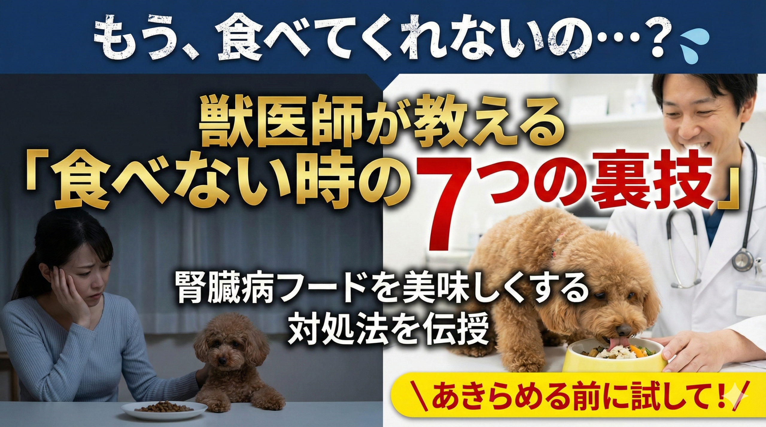 犬が腎臓病のフードを食べない時の対処法｜獣医師が教える7つの裏技