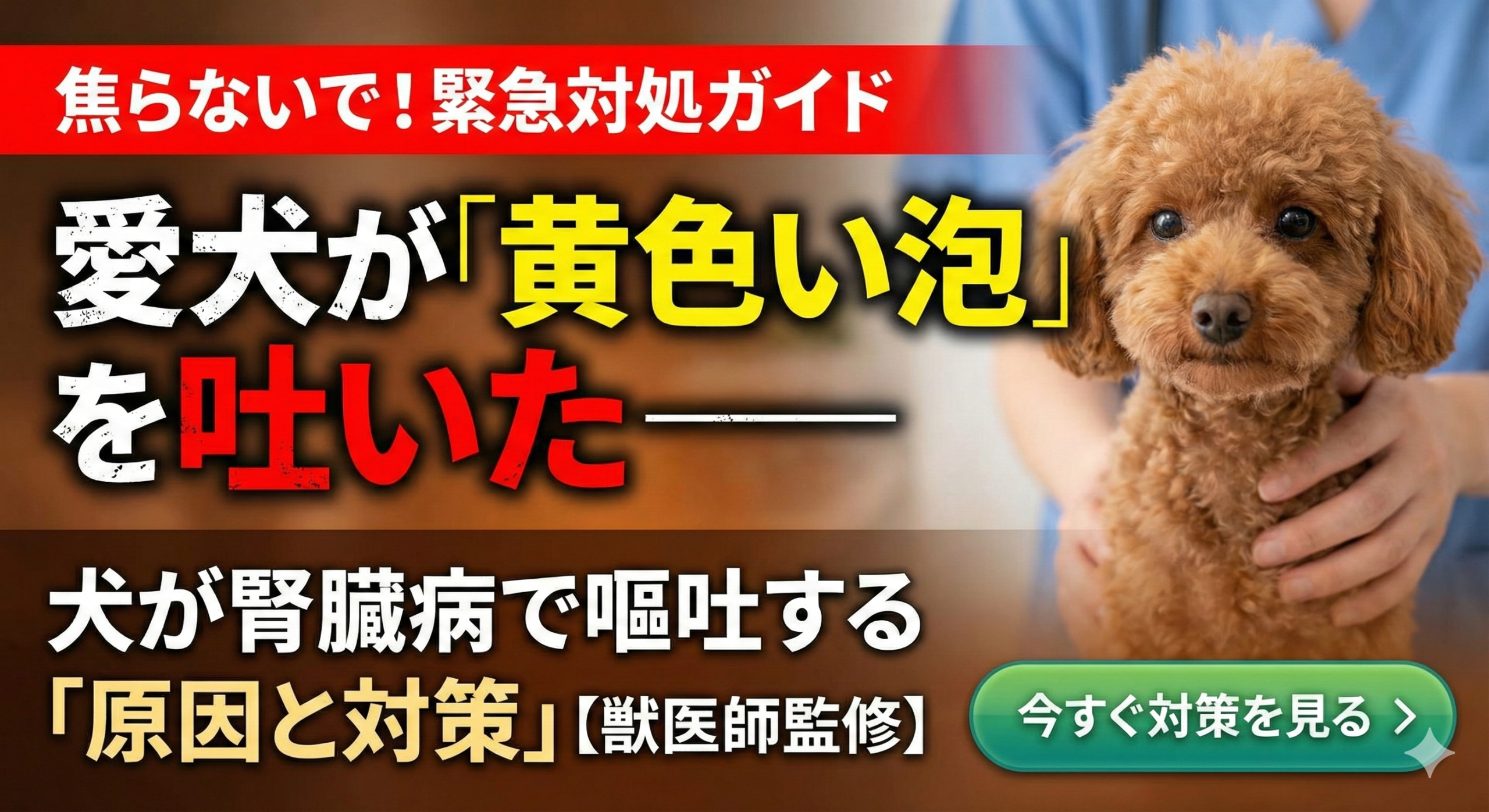 愛犬が黄色い泡を吐いた──犬が腎臓病で嘔吐する原因と対策｜獣医師監修