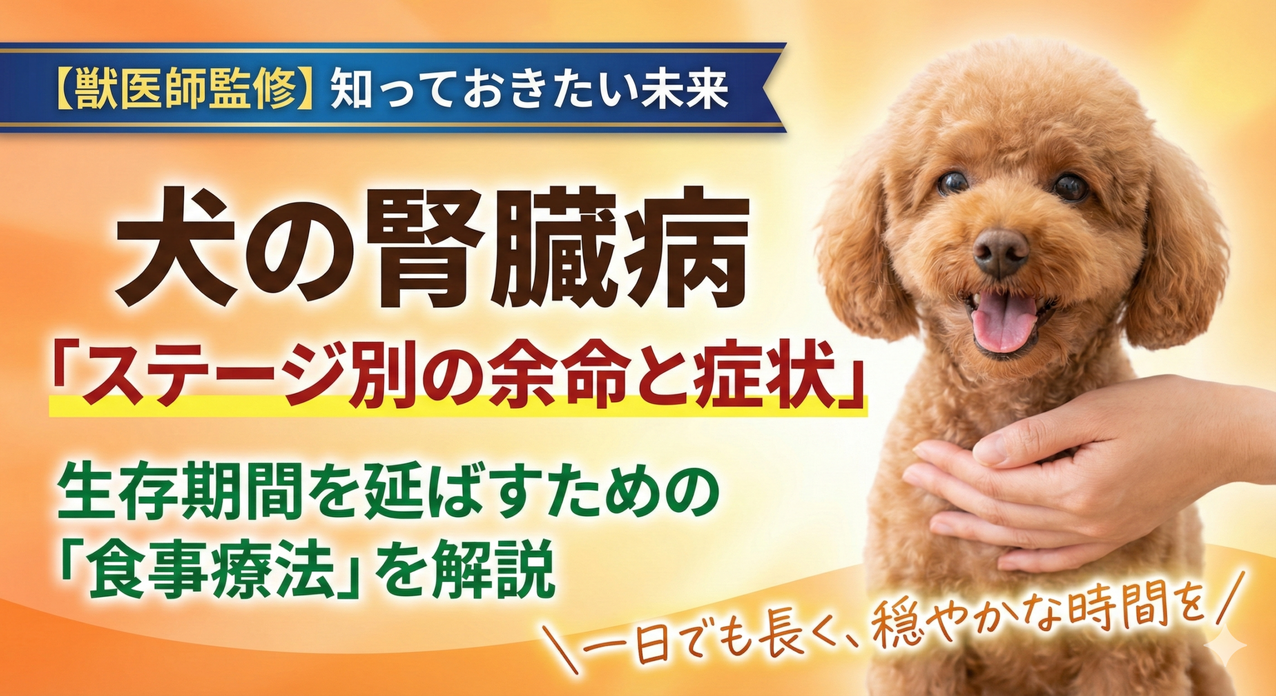 犬の腎臓病ステージ別の余命と症状｜生存期間を延ばす食事療法を獣医師が解説