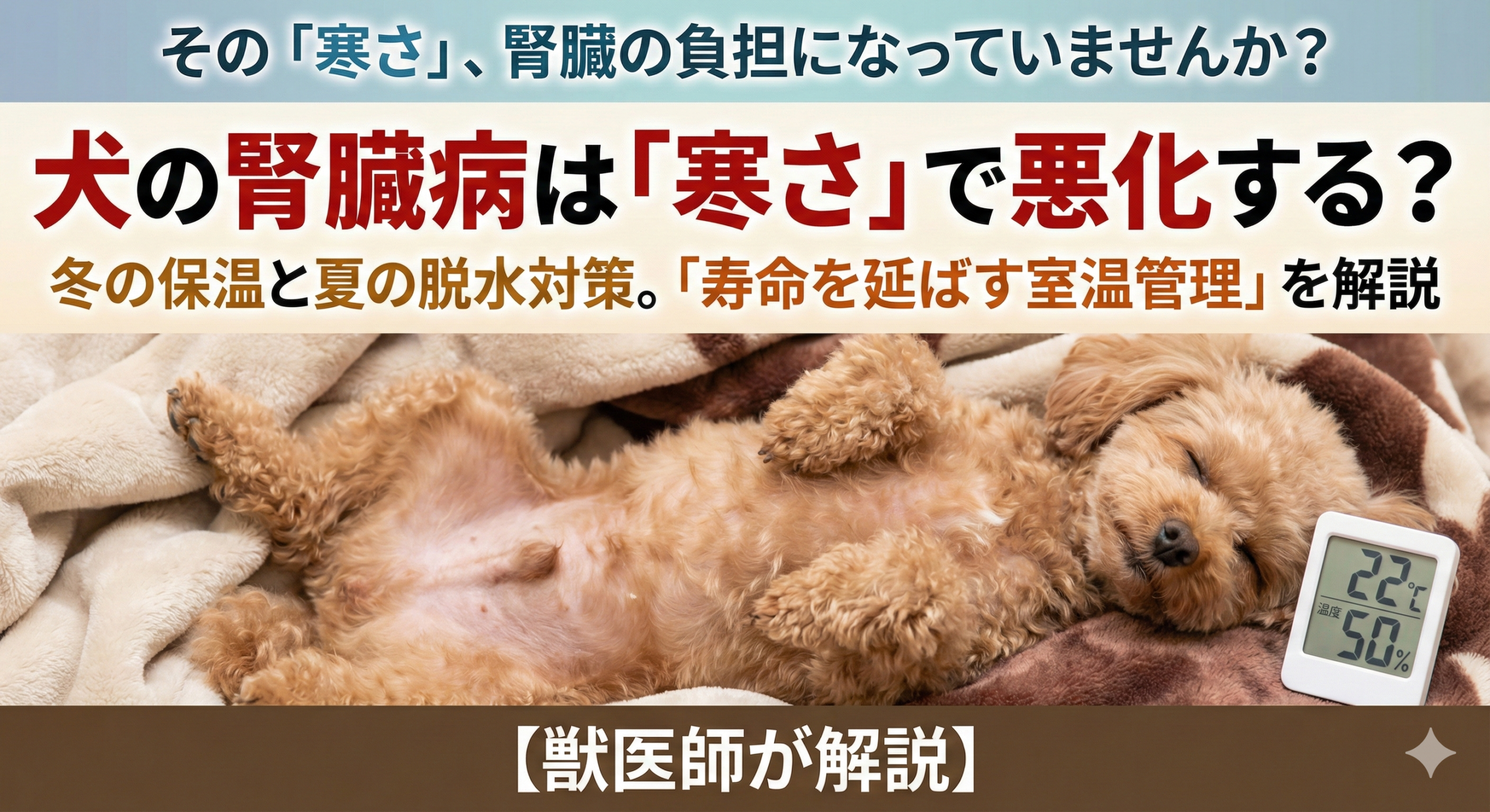 犬の腎臓病は「寒さ」で悪化する？獣医師が教える冬の保温と夏の脱水対策｜寿命を延ばす室温管理