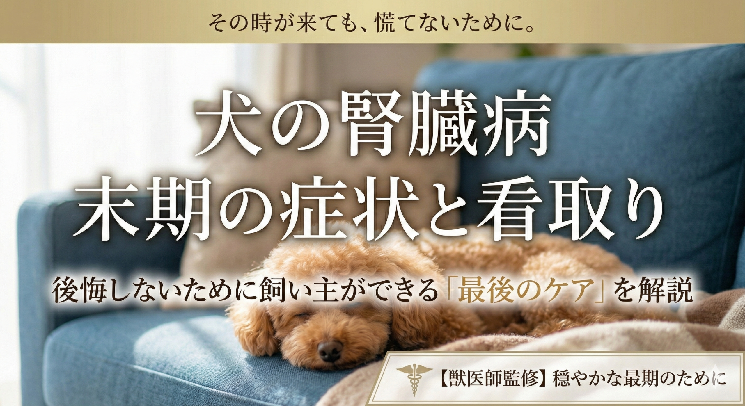 犬の腎臓病末期の症状と看取り｜後悔しないために飼い主ができる「最後のケア」を獣医師が解説