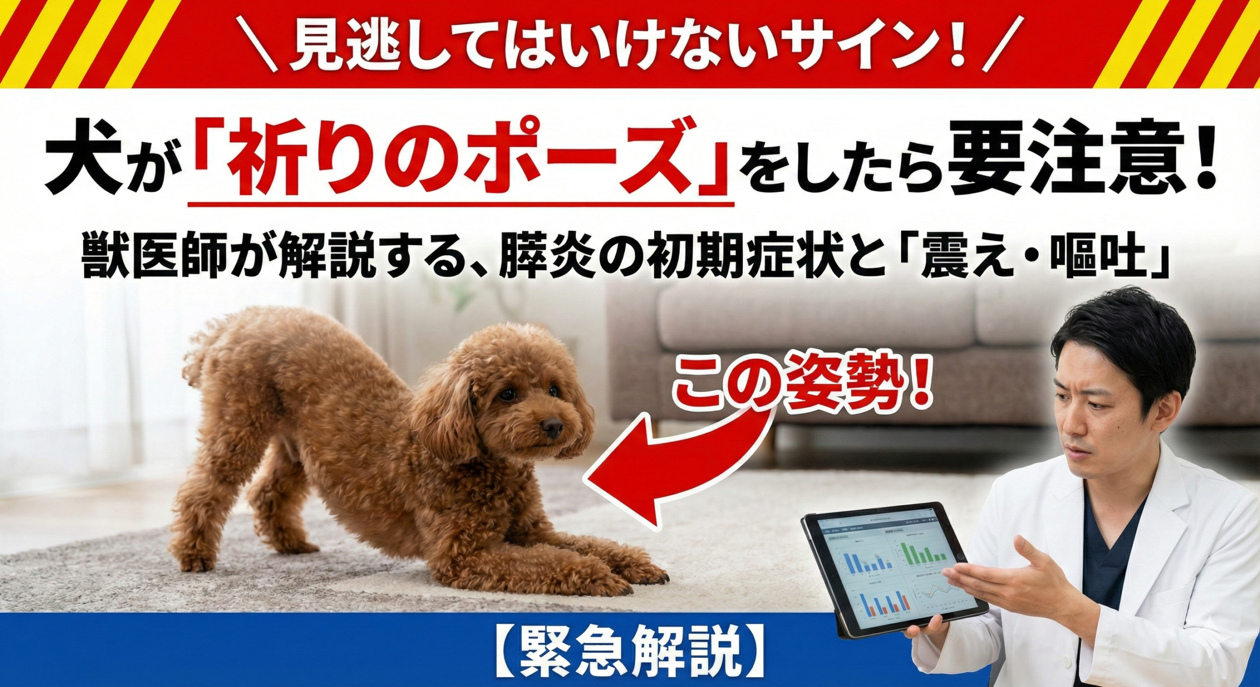 【獣医師解説】犬が「祈りのポーズ」をしたら要注意！膵炎の初期症状と震え・嘔吐のサイン