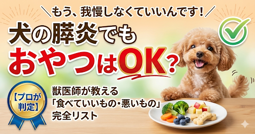 犬の膵炎でもおやつはOK？獣医師が教える「食べていいもの・悪いもの」完全リスト