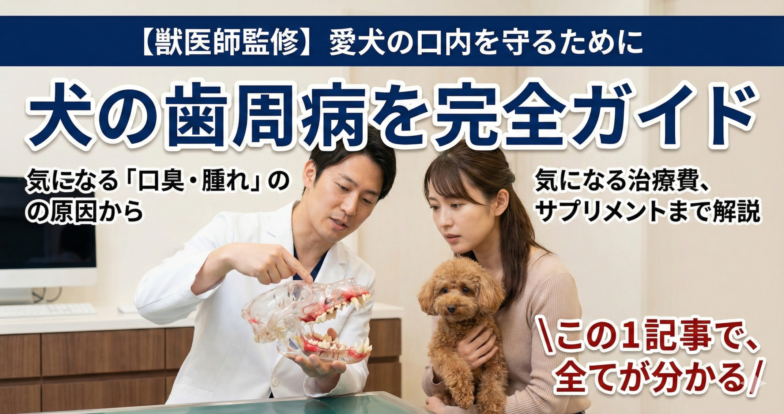 【獣医師監修】犬の歯周病を完全ガイド｜口臭・腫れの原因から治療費、サプリメントについて解説