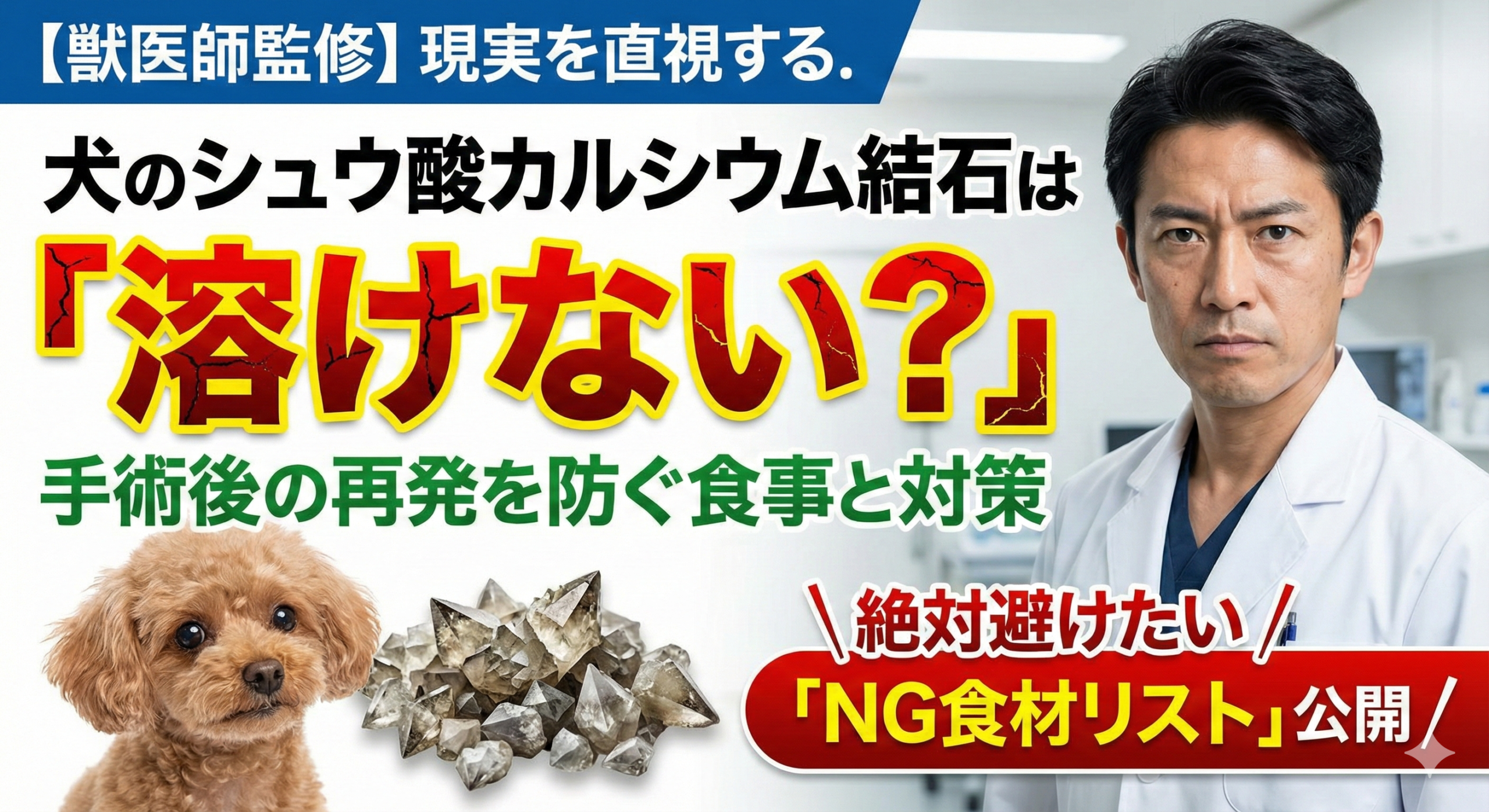 【獣医師監修】犬のシュウ酸カルシウム結石は溶けない？手術後の再発を防ぐ食事とNG食材リスト