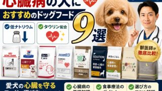 心臓病の犬におすすめのドッグフード9選｜低ナトリウム・タウリン配合を獣医師が比較【2026年】
