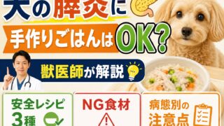 犬の膵炎に手作りごはんはOK？獣医師が解説｜安全レシピ3種・NG食材・病態別の注意点