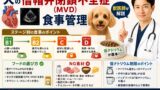 犬の僧帽弁閉鎖不全症（MVD）の食事管理｜ステージB1〜C・D別フードの選び方・NG食材・低ナトリウム制限を獣医師が解説