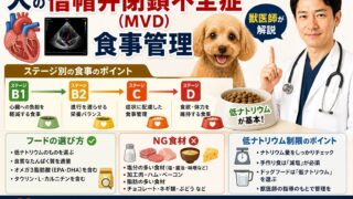 犬の僧帽弁閉鎖不全症（MVD）の食事管理｜ステージB1〜C・D別フードの選び方・NG食材・低ナトリウム制限を獣医師が解説