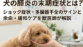 犬の膵炎の末期症状とは?ショック症状・多臓器不全のサインと余命・緩和ケアを獣医師が解説