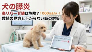 犬の膵炎でリパーゼが高い・1000は危険？数値の見方と下がらないとき