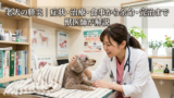 老犬の膵炎｜症状・治療・食事から余命・完治まで獣医師