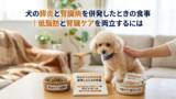 犬の膵炎と腎臓病を併発したときの食事｜低脂肪と腎臓ケアを両立するには