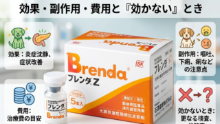 犬の膵炎の新薬ブレンダZ｜効果・副作用・費用と「効かない」とき