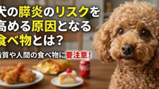 犬の膵炎のリスクを高める原因となる食べ物とは？脂質や人間の食べ物に要注意！獣医師解説